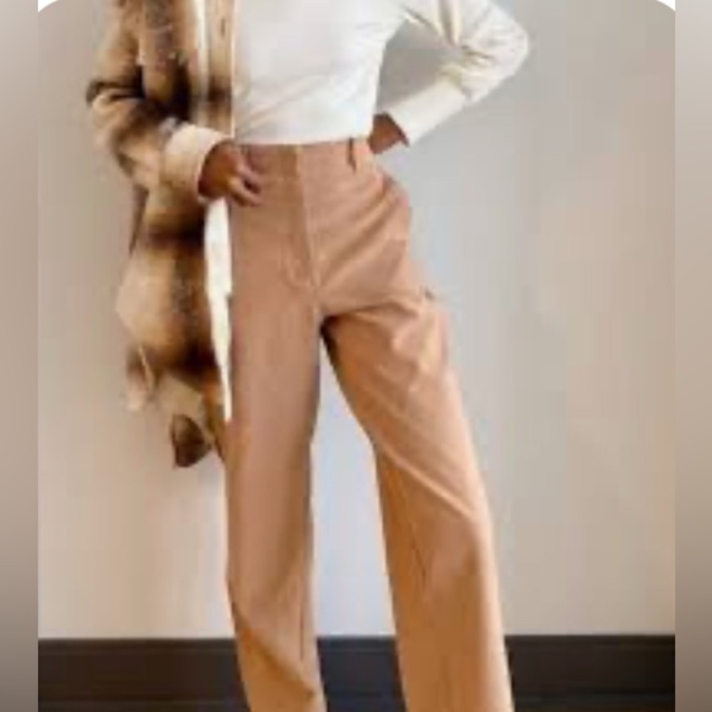 Aritzia Wilfred Free Light Brown Flat Front Wide Leg Chino Pants Women’s 2 EUC